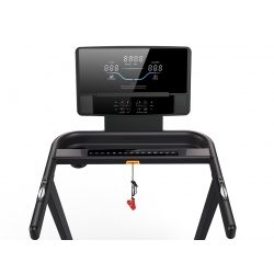Bieżnia Treningowa Runner DS Fitness AppReady DS-3308R